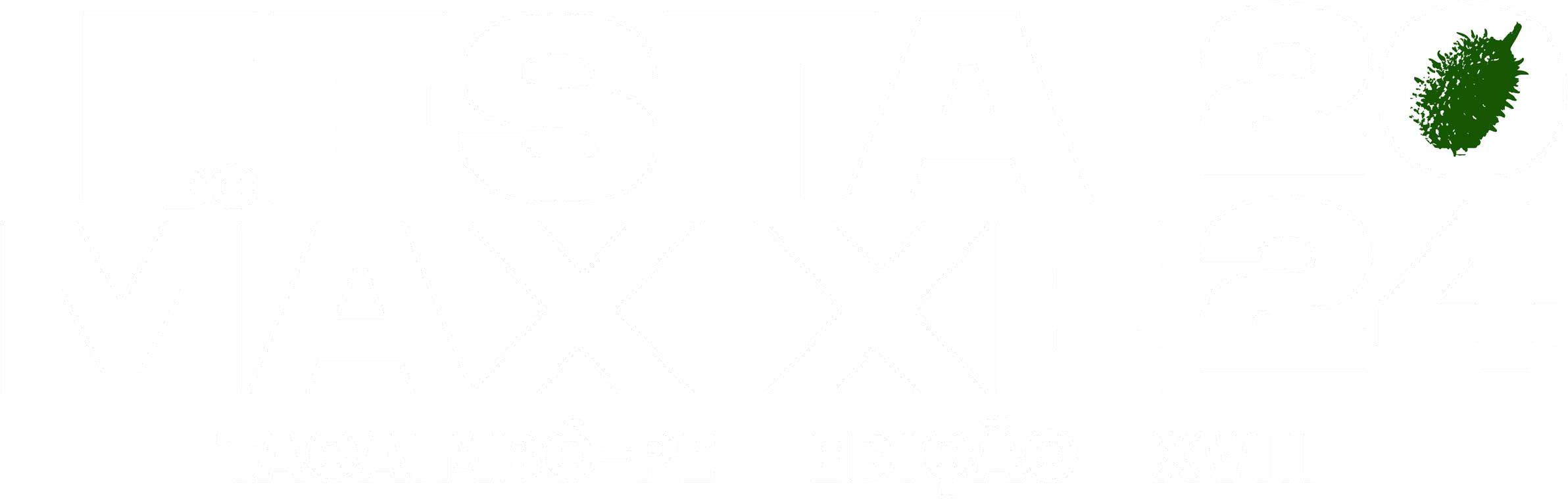 Logo Festa do Maxixe 2024